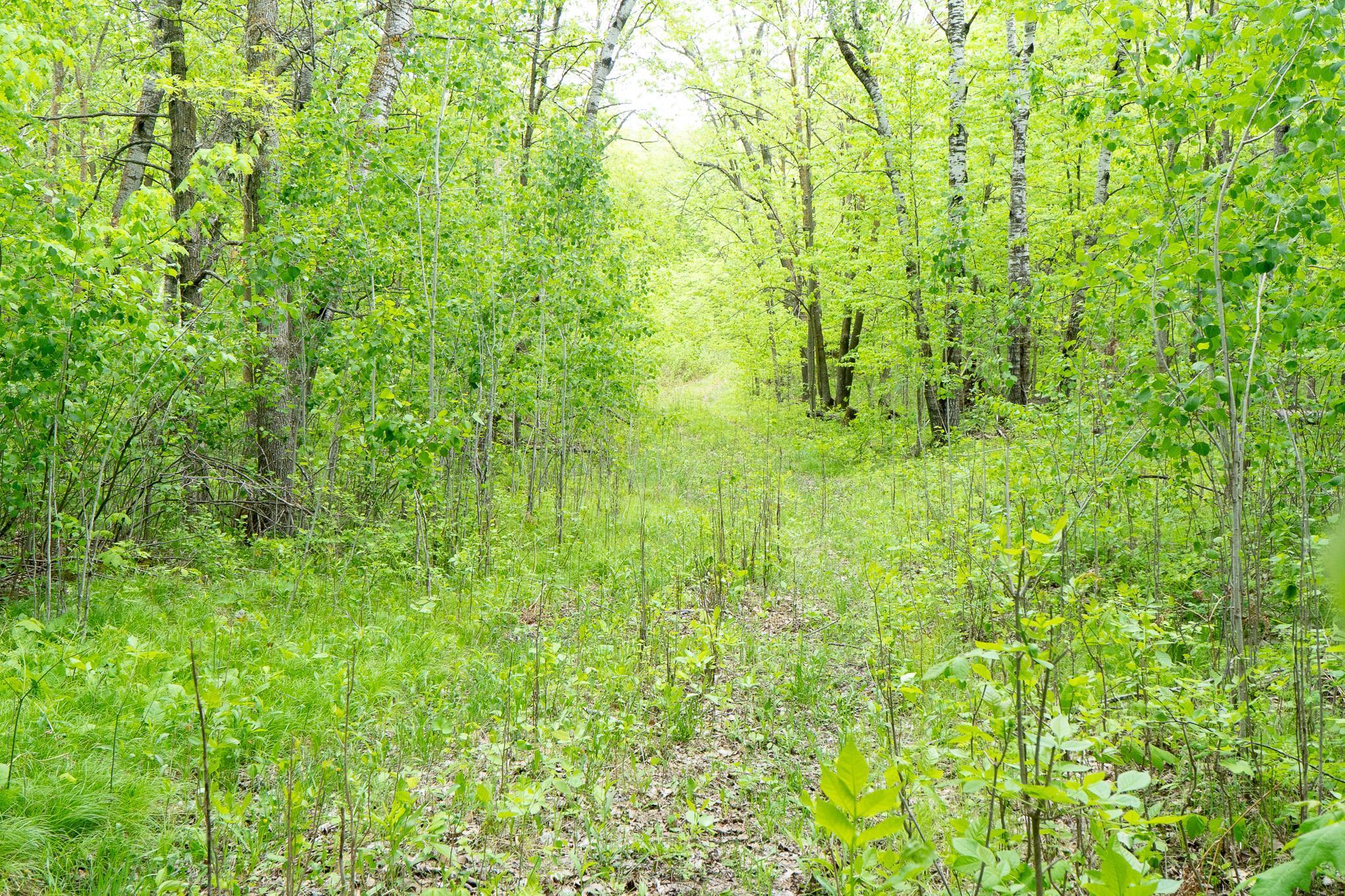 Tbd Tbd Knopf Road Rochert, MN 56578 - Photo 20 of 40