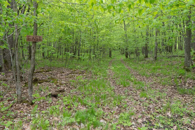 $443,000 | Tbd Tbd Knopf Road, Rochert, MN 56578