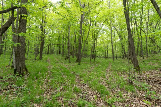 $443,000 | Tbd Tbd Knopf Road, Rochert, MN 56578