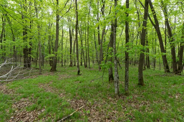 $443,000 | Tbd Tbd Knopf Road, Rochert, MN 56578