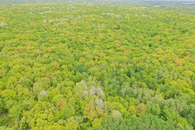 $443,000 | Tbd Tbd Knopf Road, Rochert, MN 56578