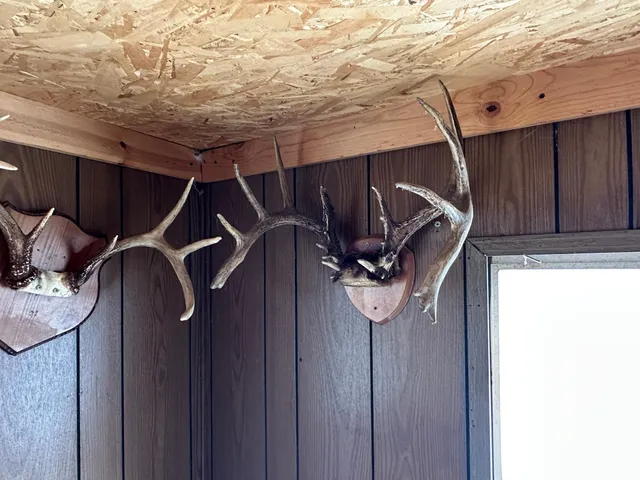 $443,000 | Tbd Tbd Knopf Road, Rochert, MN 56578