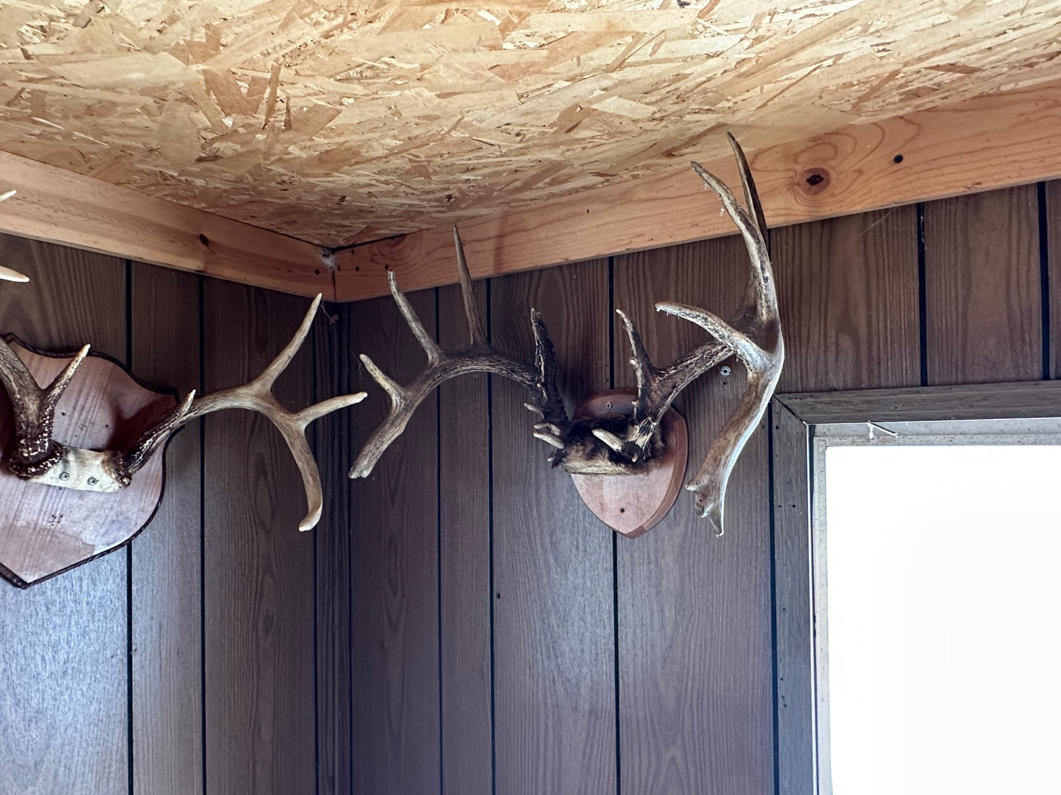 Tbd Tbd Knopf Road Rochert, MN 56578 - Photo 32 of 40