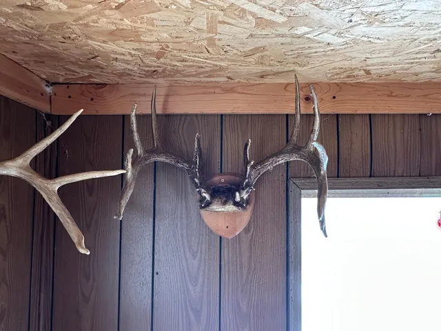 $443,000 | Tbd Tbd Knopf Road, Rochert, MN 56578