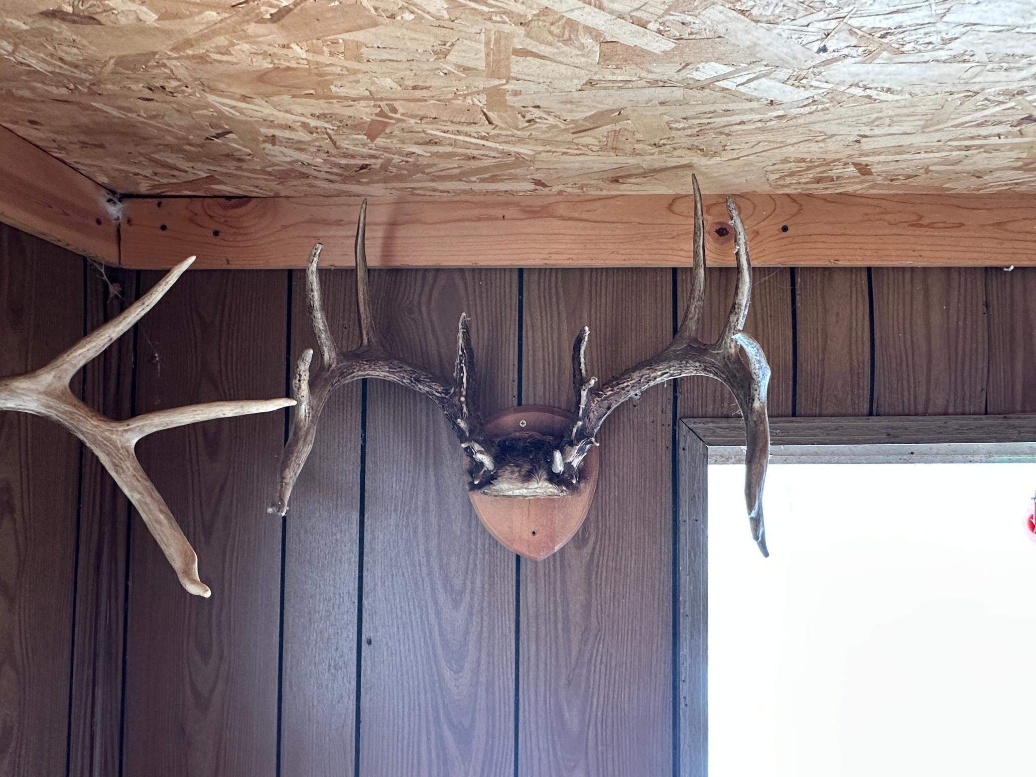 Tbd Tbd Knopf Road Rochert, MN 56578 - Photo 34 of 40