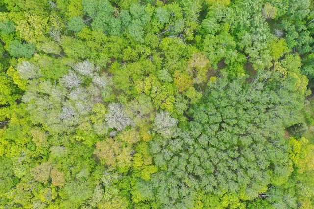 $443,000 | Tbd Tbd Knopf Road, Rochert, MN 56578