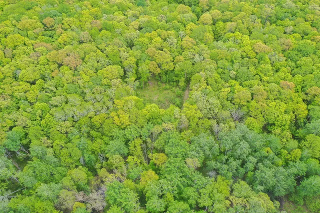 $443,000 | Tbd Tbd Knopf Road, Rochert, MN 56578