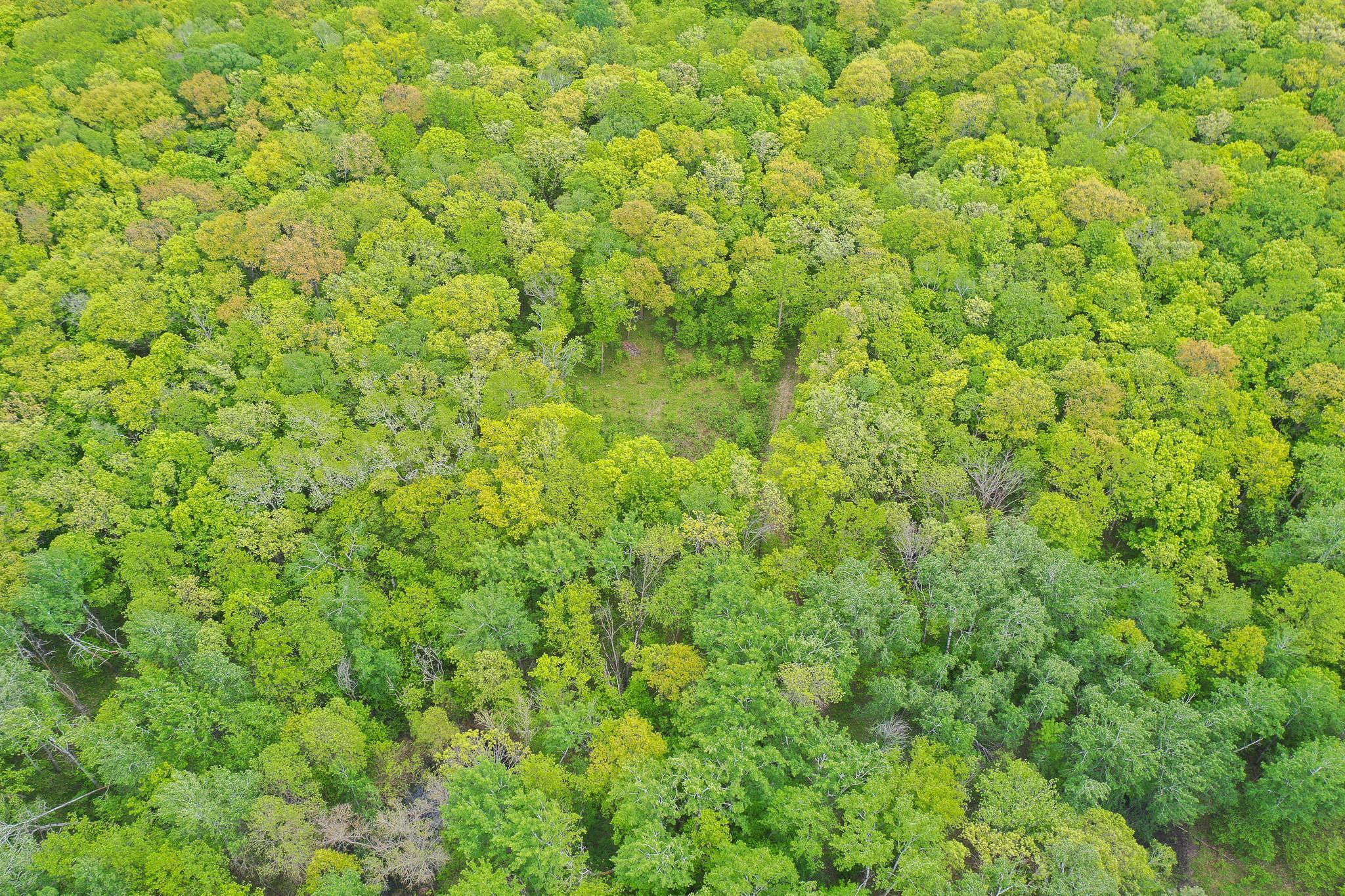 Tbd Tbd Knopf Road Rochert, MN 56578 - Photo 5 of 40