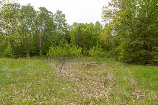 $443,000 | Tbd Tbd Knopf Road, Rochert, MN 56578