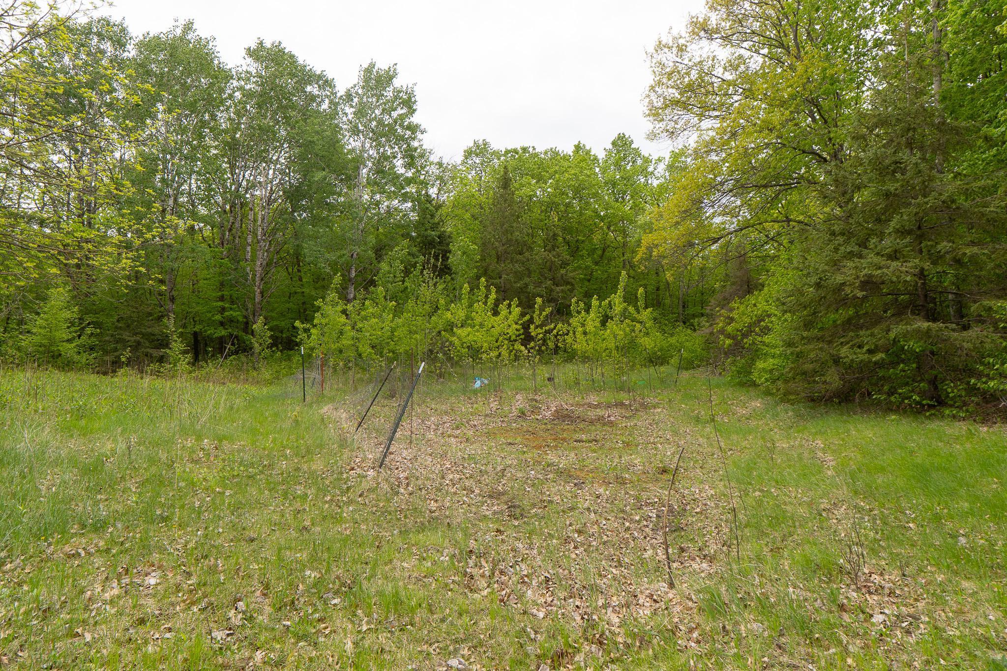 Tbd Tbd Knopf Road Rochert, MN 56578 - Photo 8 of 40