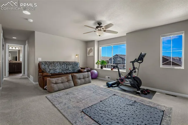a living room with furniture a rug and a window