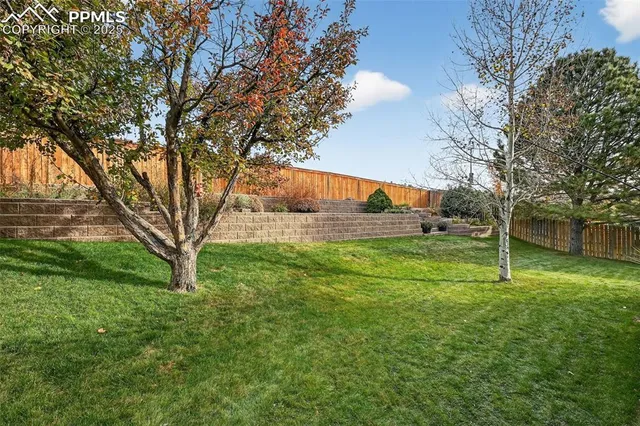 a view of yard with green space