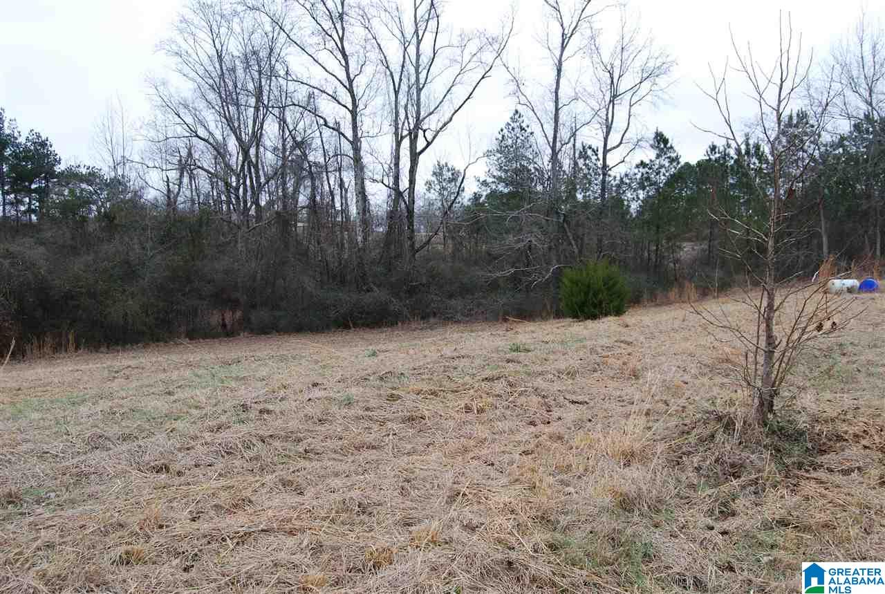 4747 Warrior Jasper Road, Unit 1 Dora, AL 35062 - Photo 3 of 9