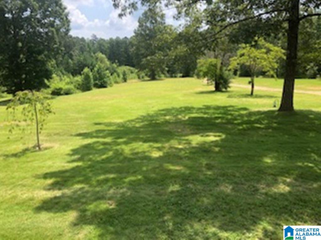275 Manning Road Pell City, AL 35125 - Photo 36 of 38