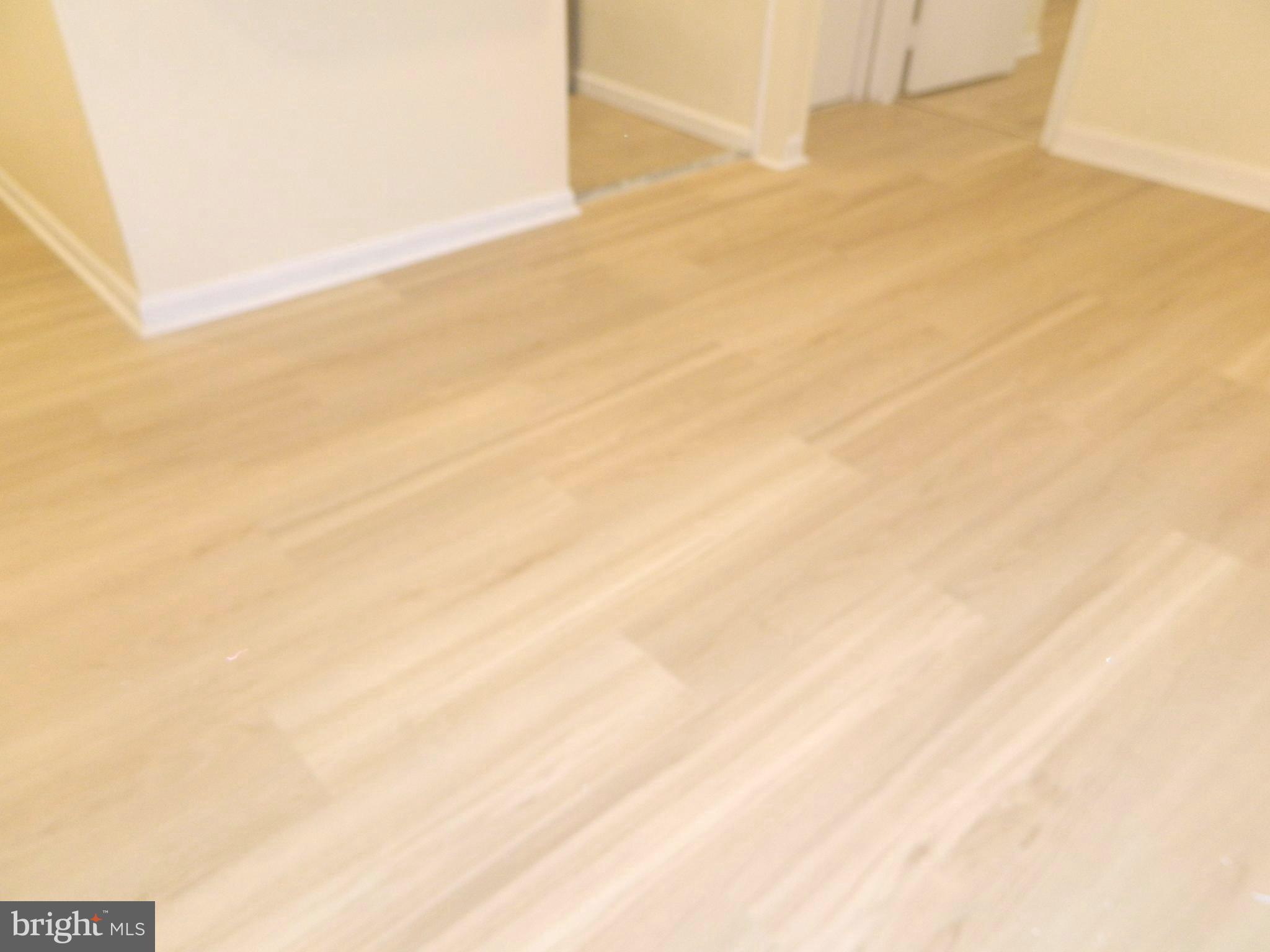 513 12th Street Northeast, Unit 9 Washington, DC 20002 - Photo 27 of 29