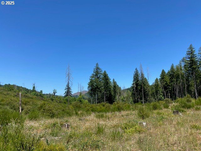 15996 Nonpareil Road Sutherlin, OR 97479 - Photo 13 of 13 Gallery Image 13