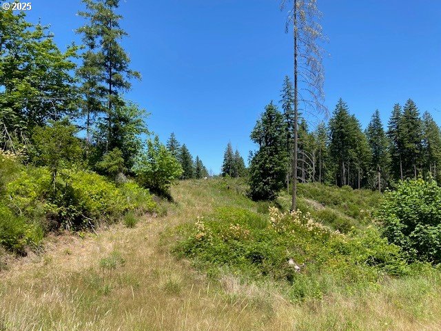 15996 Nonpareil Road Sutherlin, OR 97479 - Photo 3 of 13 Gallery Image 3