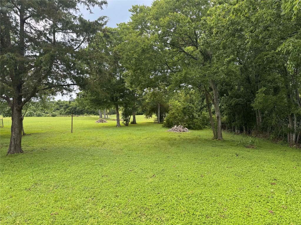 1512 Highway 90 Anderson, TX 77830 - Photo 11 of 11