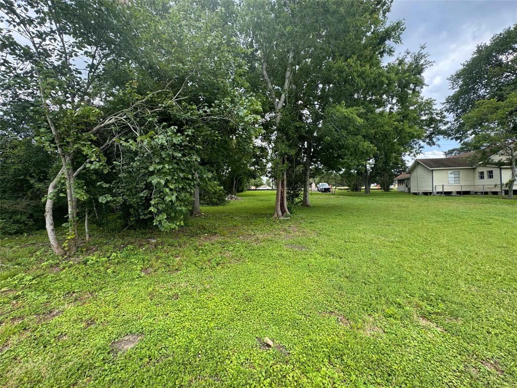 1512 Highway 90 Anderson, TX 77830 - Photo 10 of 11