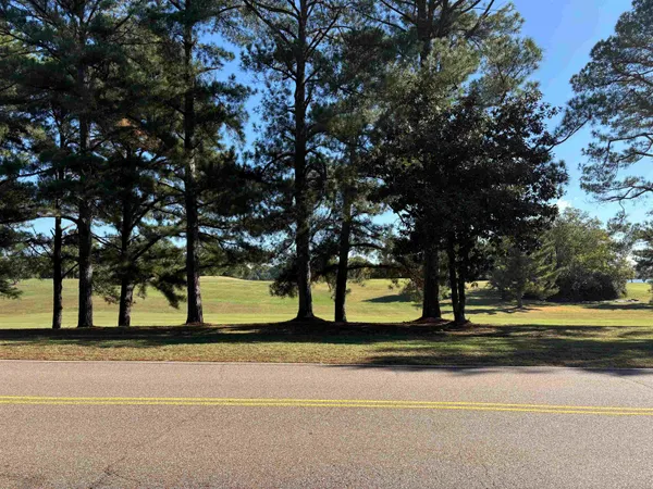 a view of street along with trees