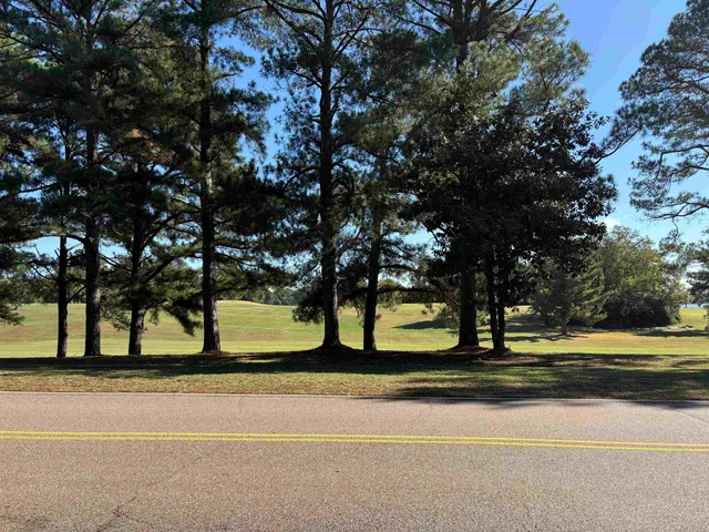 a view of street along with trees