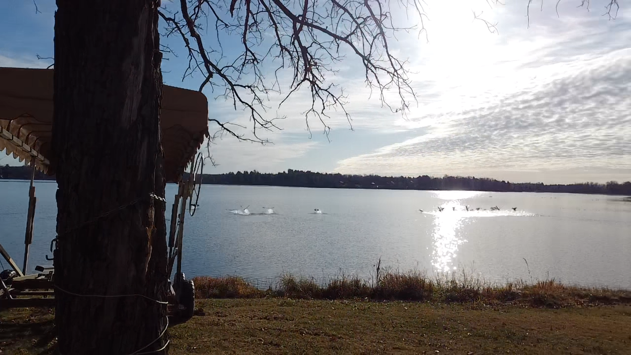 29614 417th Place Aitkin, MN 56431 - Photo 39 of 64