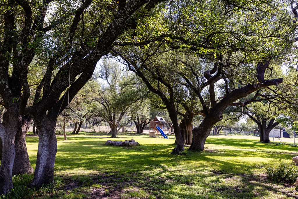 272 Schaper Road Fredericksburg, TX 78624 - Photo 7 of 41
