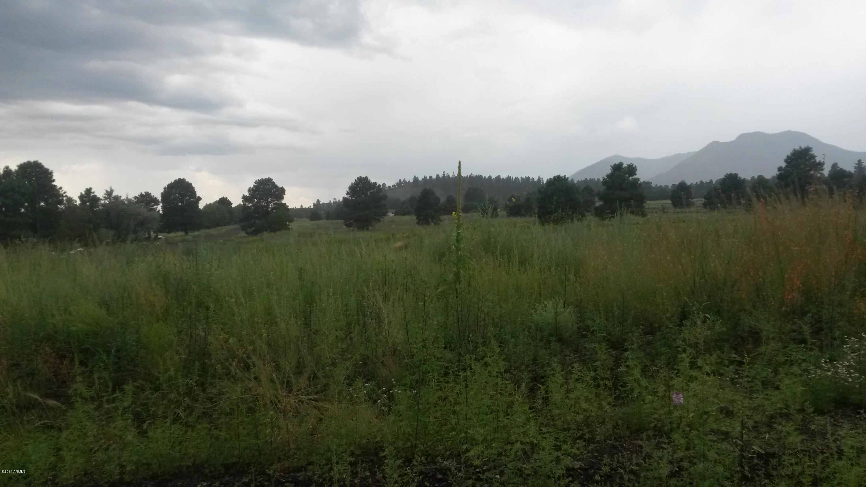 12146 Gunman Road, Unit W2W2SW4SE4 Flagstaff, AZ 86004 - Photo 3 of 4 20140731_144714