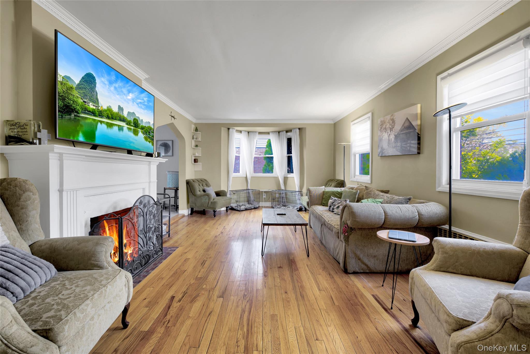 5 Argyle Road Merrick, NY 11566 - Photo 4 of 31 a living room with furniture and a flat screen tv