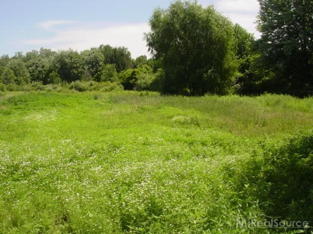 5650 Fargo Road Avoca, MI 48006 - Photo 8 of 9