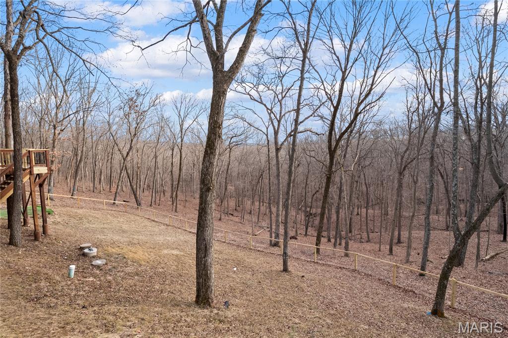 19250 River Ridge Lane Wildwood, MO 63005 - Photo 41 of 51