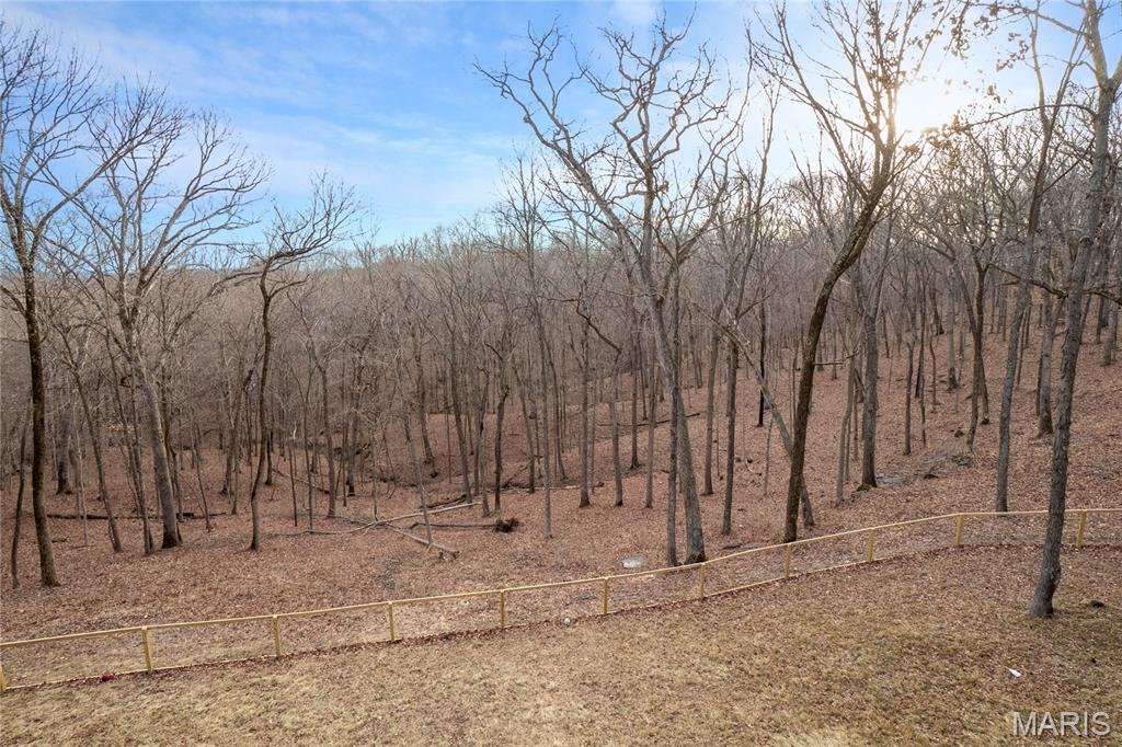 19250 River Ridge Lane Wildwood, MO 63005 - Photo 42 of 51