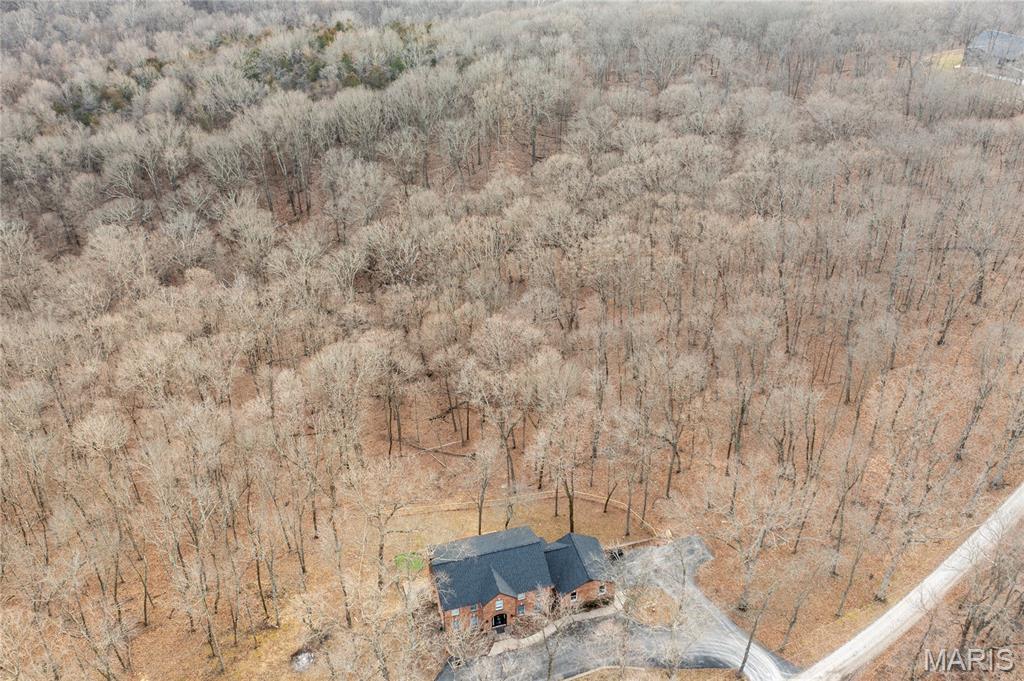 19250 River Ridge Lane Wildwood, MO 63005 - Photo 44 of 51