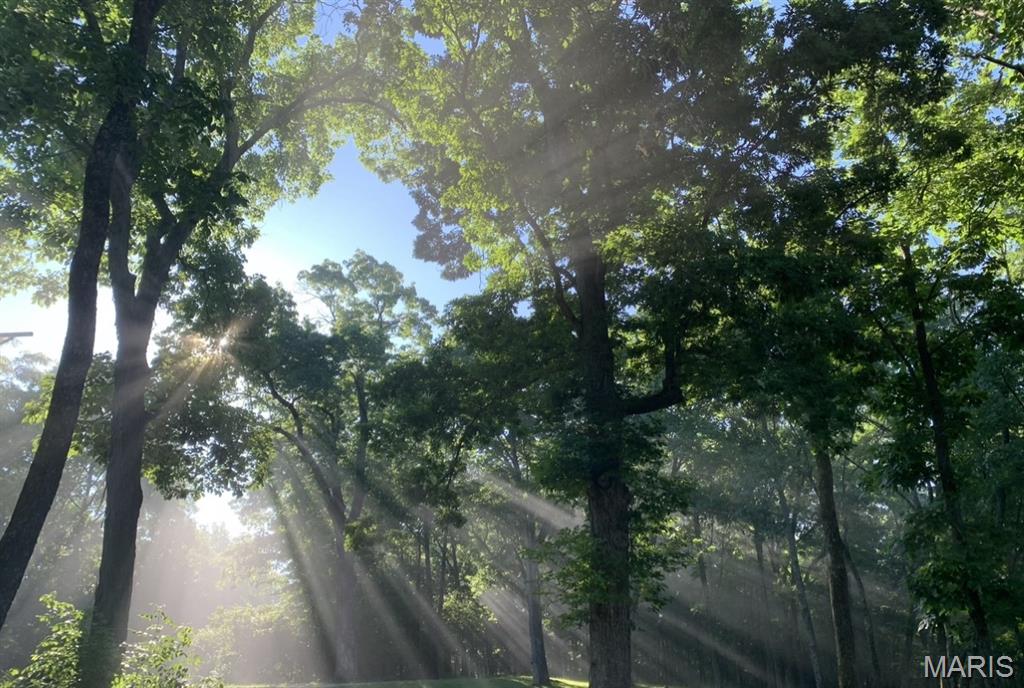 19250 River Ridge Lane Wildwood, MO 63005 - Photo 45 of 51