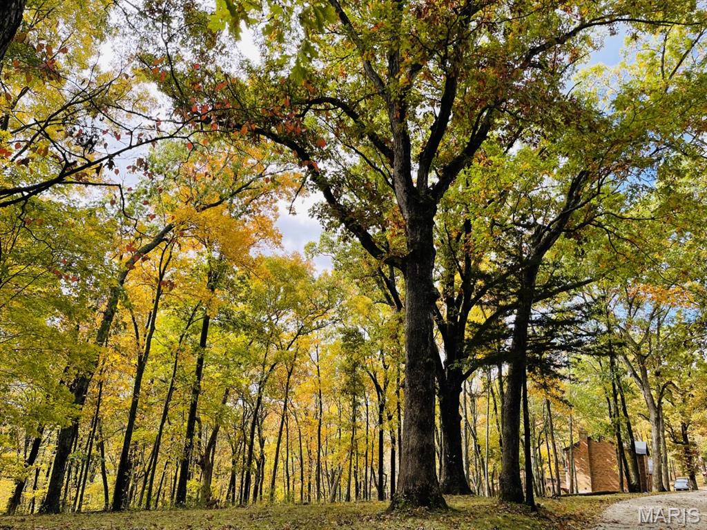 19250 River Ridge Lane Wildwood, MO 63005 - Photo 46 of 51