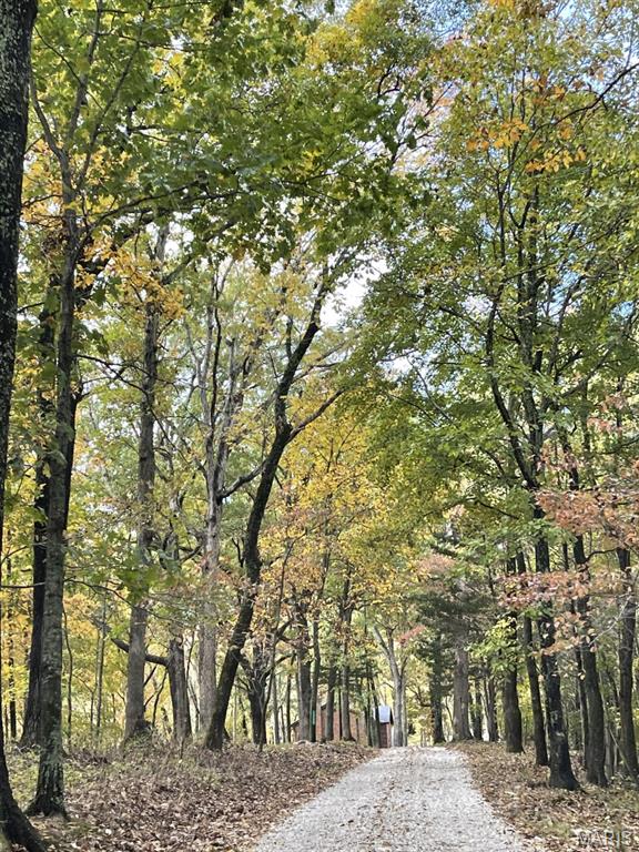 19250 River Ridge Lane Wildwood, MO 63005 - Photo 47 of 51