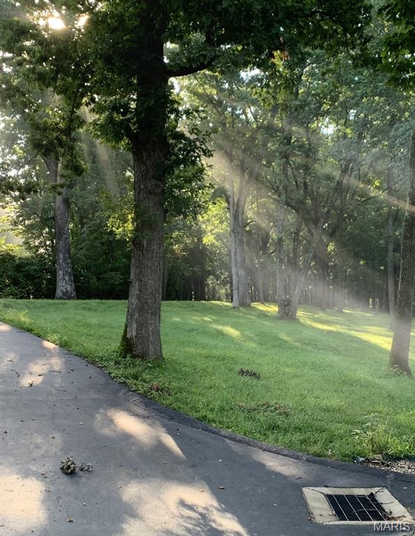 19250 River Ridge Lane Wildwood, MO 63005 - Photo 48 of 51