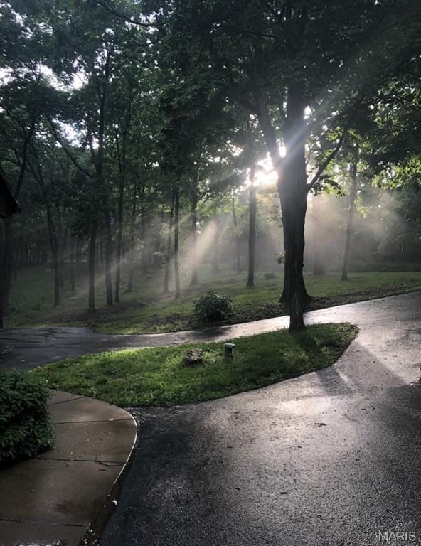 19250 River Ridge Lane Wildwood, MO 63005 - Photo 49 of 51