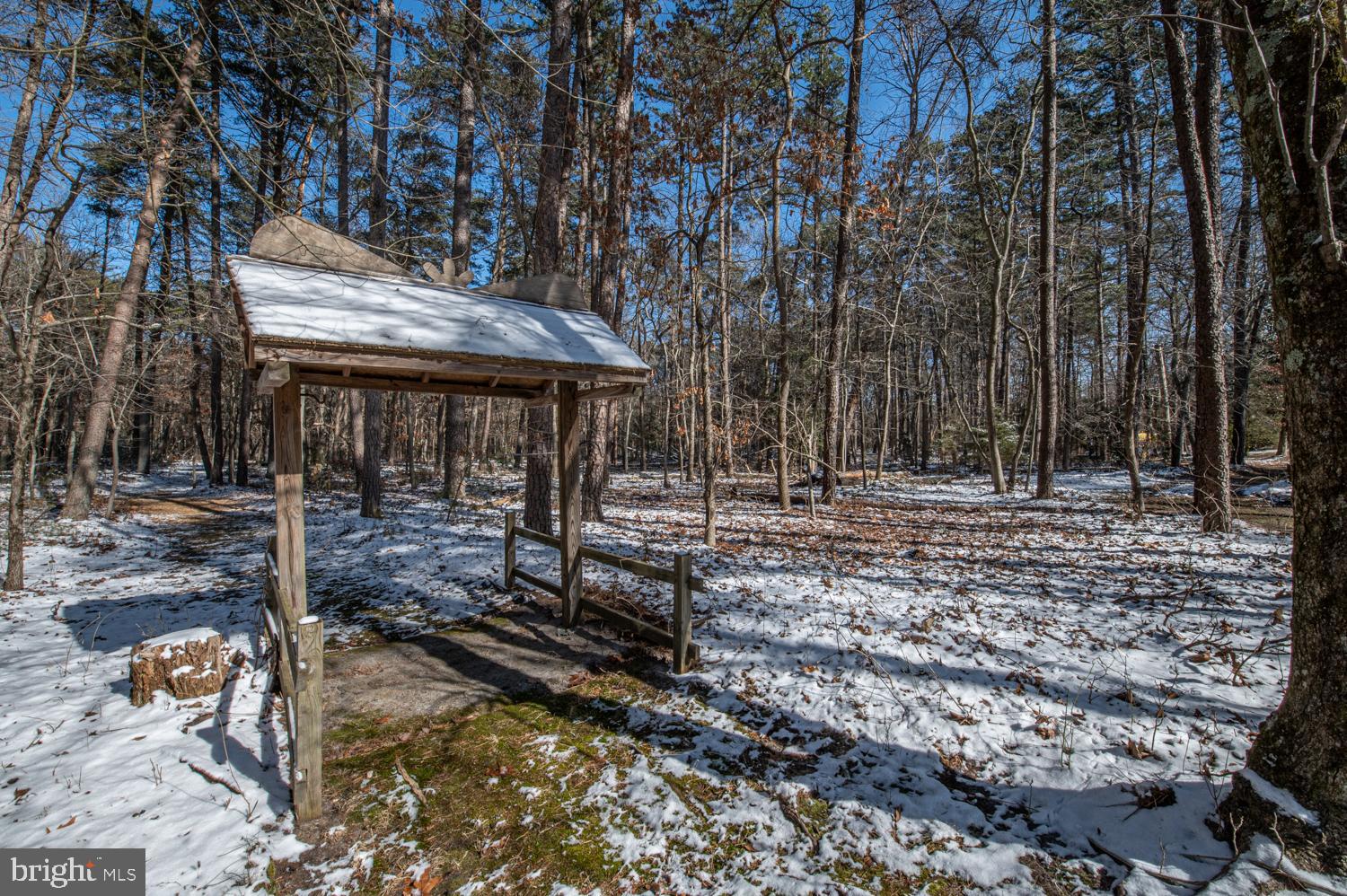 863 McKendimen Road Shamong, NJ 08088 - Photo 5 of 44