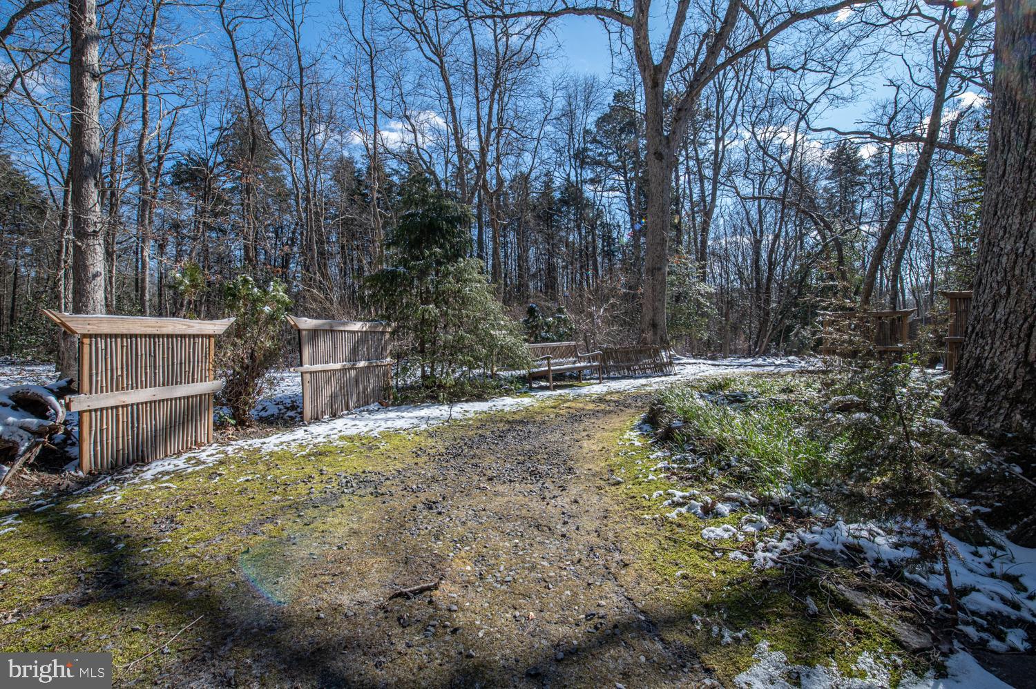 863 McKendimen Road Shamong, NJ 08088 - Photo 6 of 44