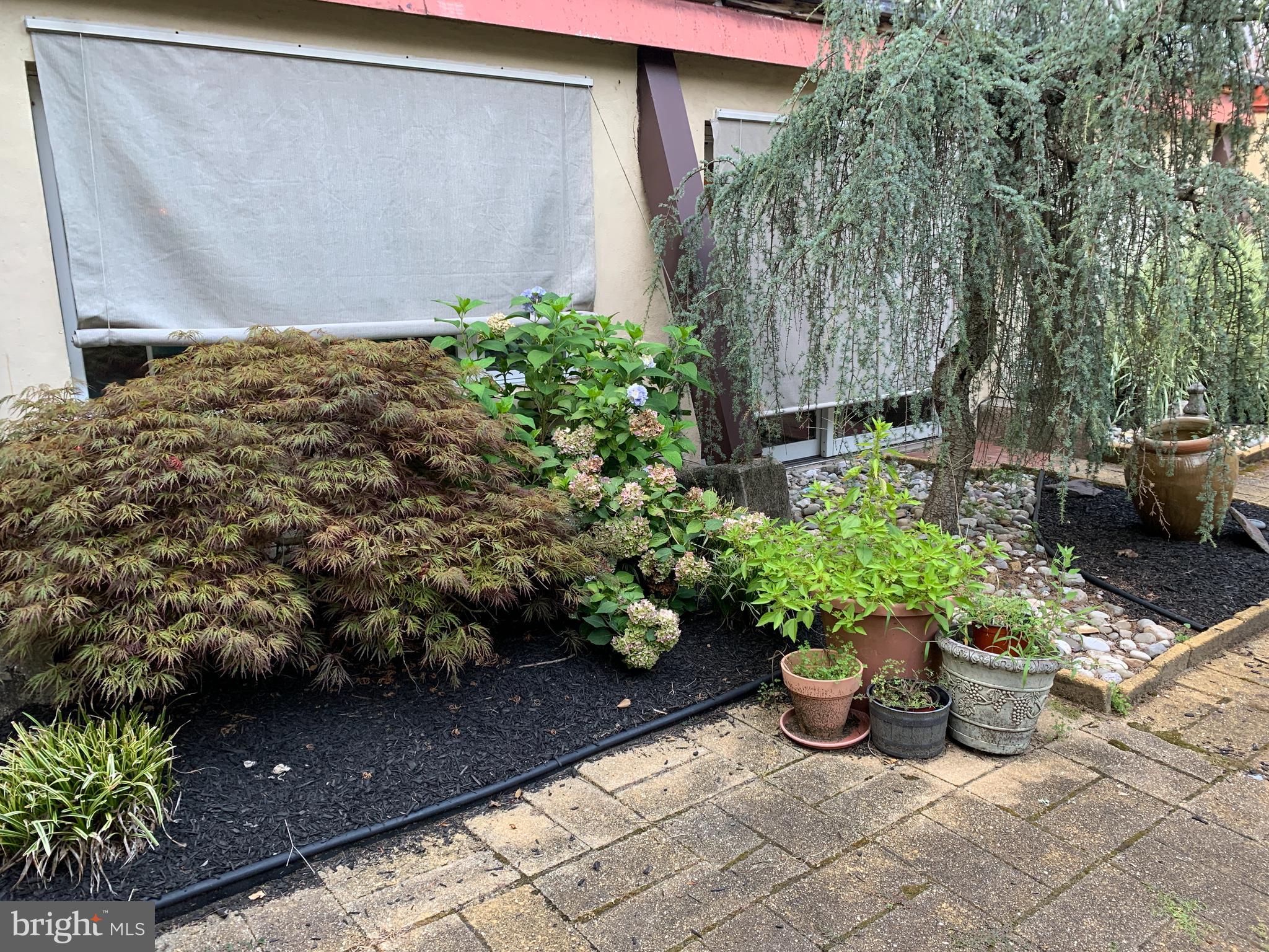 863 McKendimen Road Shamong, NJ 08088 - Photo 10 of 44