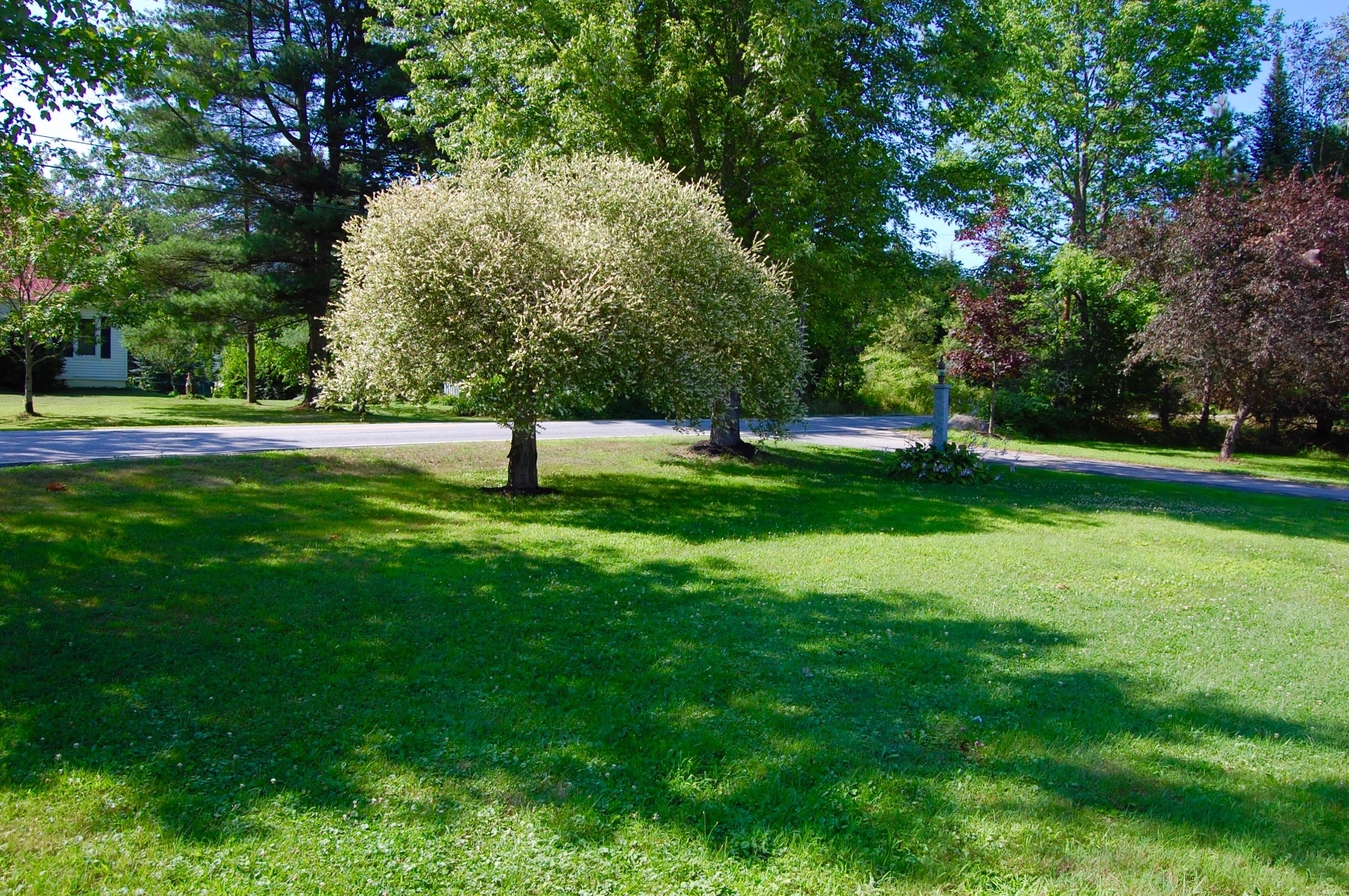 664 Boothby Road Livermore, ME 04253 - Photo 5 of 55 FrontYard