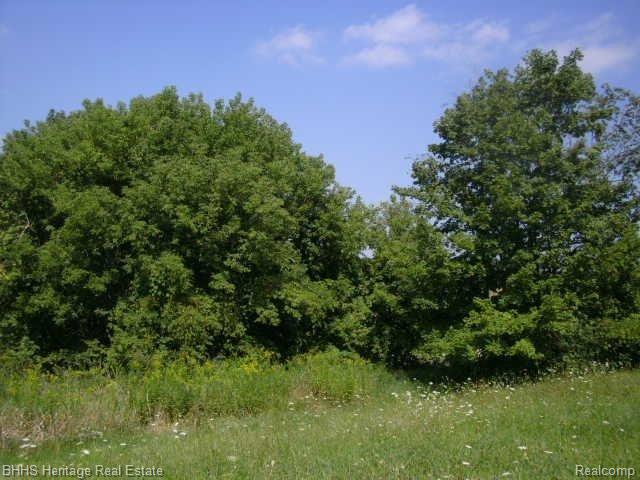 5495 Van Orden Road Webberville, MI 48892 - Photo 15 of 18 021.JPG