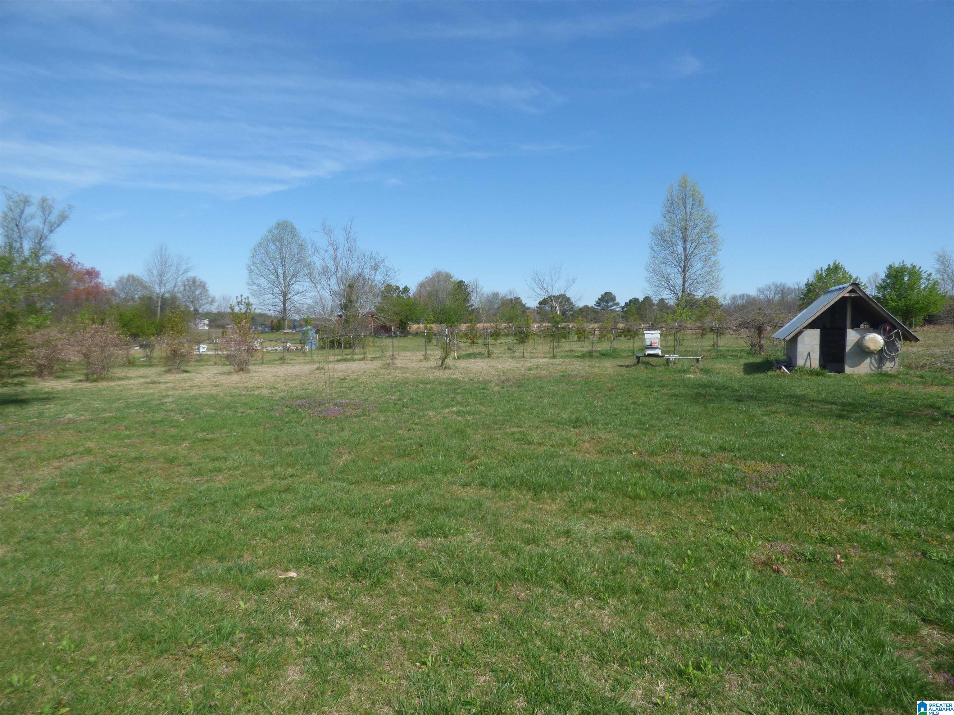 114 Haynes Road Altoona, AL 35952 - Photo 35 of 49
