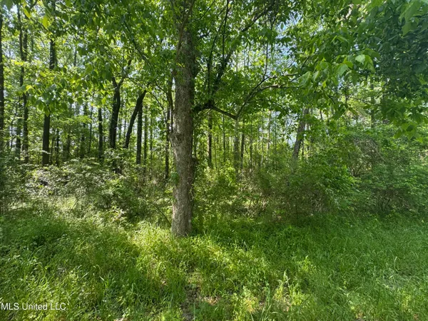 $250,000 | 1 Old Highway 471, Brandon, MS 39042