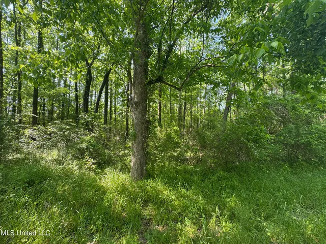 $250,000 | 1 Old Highway 471, Brandon, MS 39042