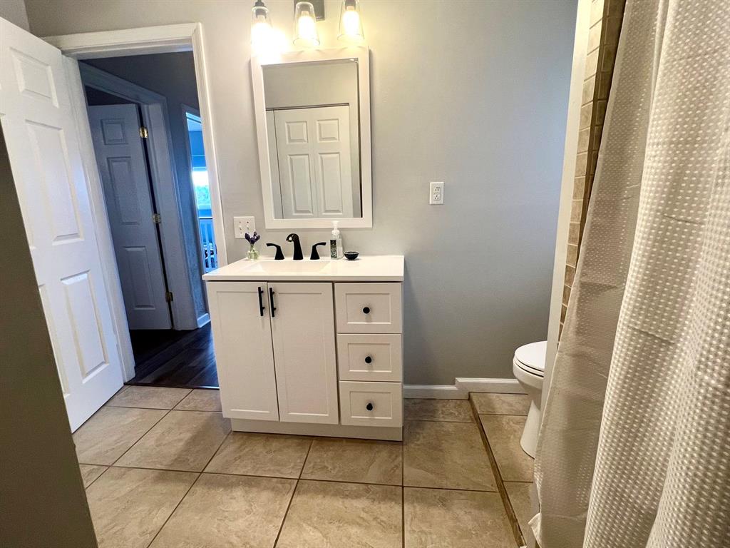 237 Lelia Street Pittsburgh, PA 15211 - Photo 33 of 46 a bathroom with a sink a toilet and a mirror