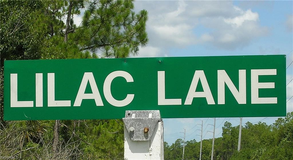 Platt Road Naples, FL 34120 - Photo 6 of 11 Gallery Image 6