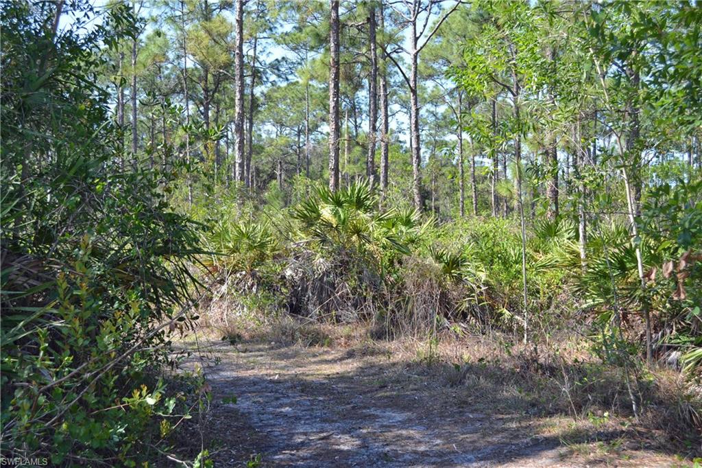 Platt Road Naples, FL 34120 - Photo 8 of 11 Gallery Image 8