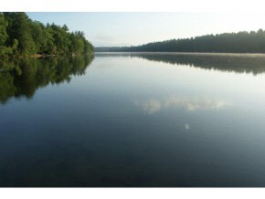 224 College Road Center Harbor, NH 03226 - Photo 20 of 35 Gallery Image 20